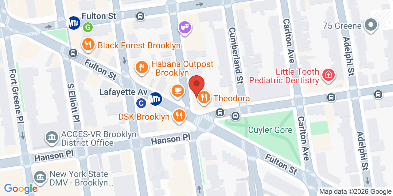 Map showing the location of 117 S Oxford St, Brooklyn, NY 11238